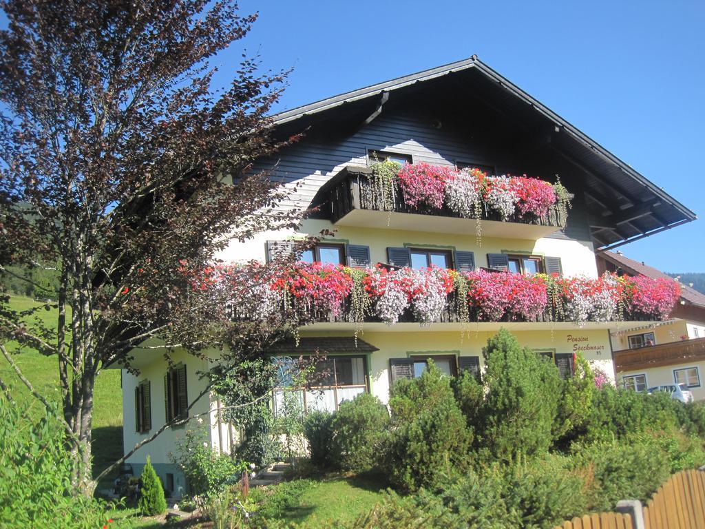 Pension Speckmoser Bad Mitterndorf Luaran gambar