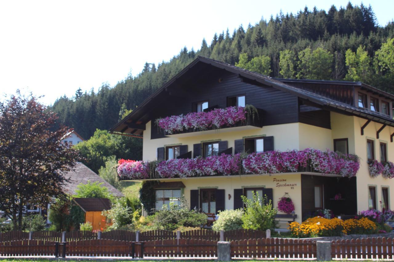 Pension Speckmoser Bad Mitterndorf Luaran gambar