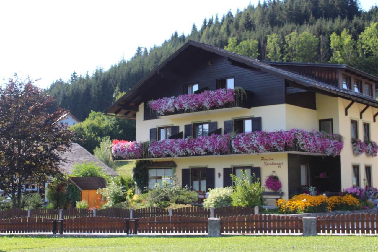 Pension Speckmoser Bad Mitterndorf Luaran gambar