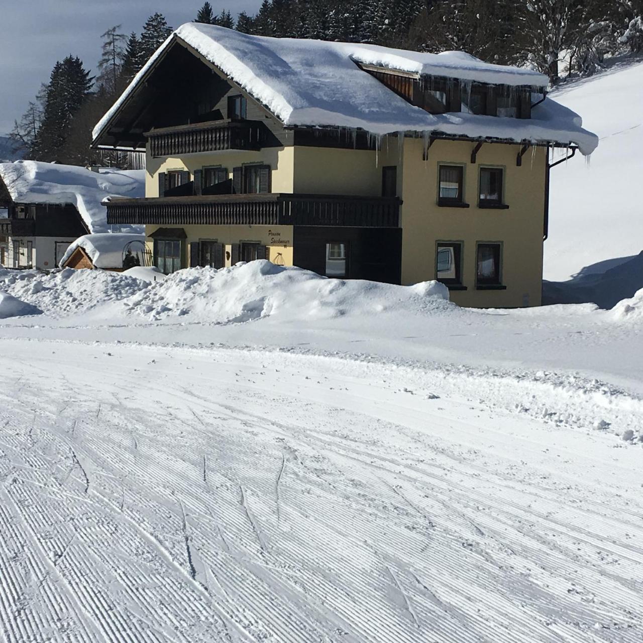 Pension Speckmoser Bad Mitterndorf Luaran gambar